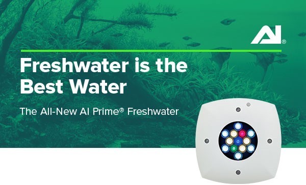 AI Freshwater Prime HD schwarz oder weiß