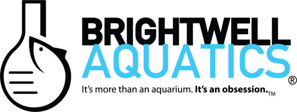 Brightwell Aquatics REEF SNOW 250ml für alle filtrierenden Wirbellosen im Riff