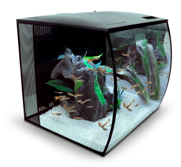 Fluval Flex 34 Liter LED Nano Aquarium schwarz mit Technick